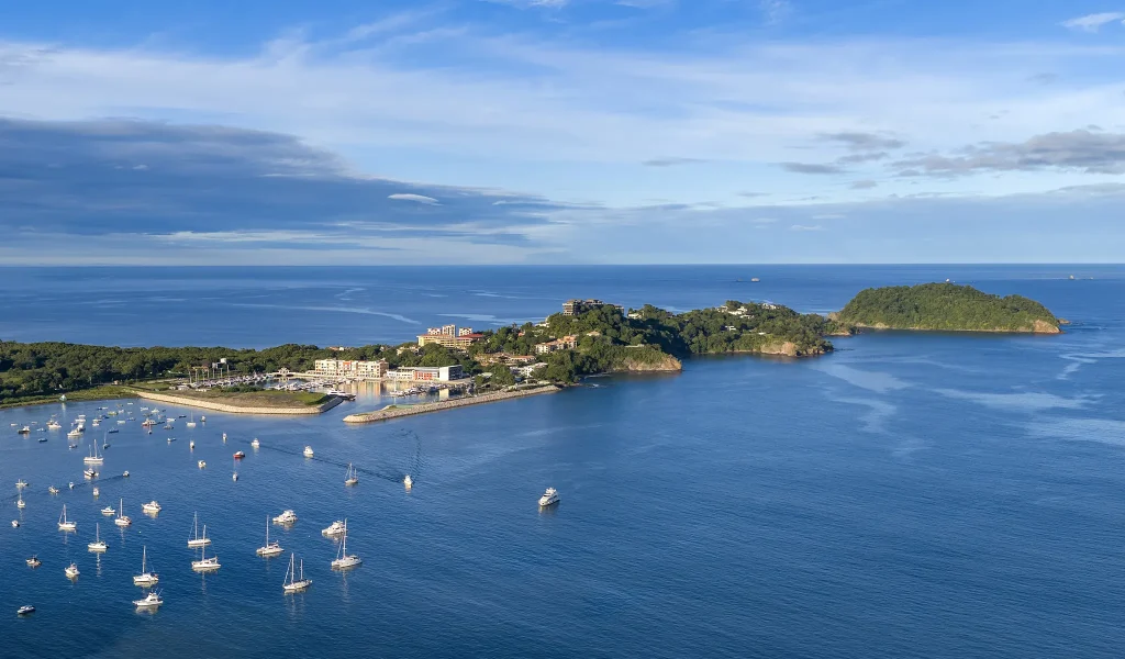Daytime view over Flamingo Marina and the headland.